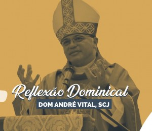 XVI Domingo Tempo Comum: Mt 13,24-43 - A paciência destrói a aparência  
